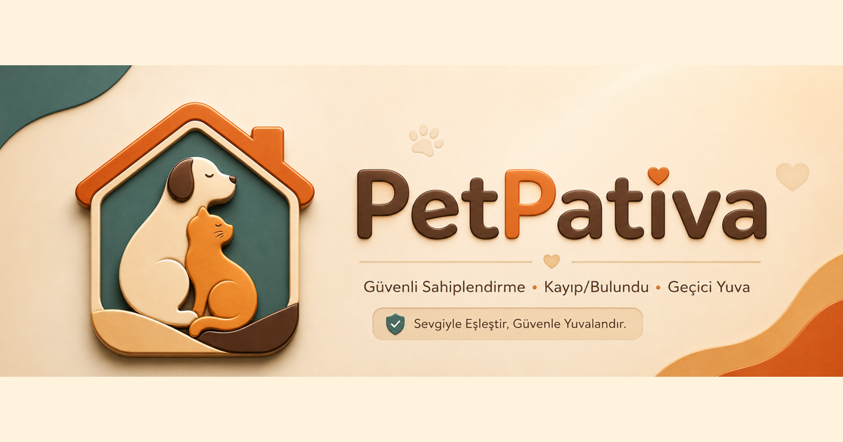 Geçici yuva ortamı
